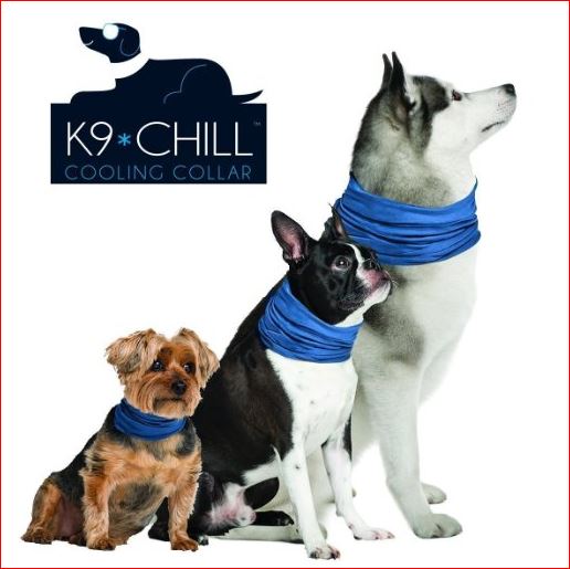 This offer is for the pet lovers!