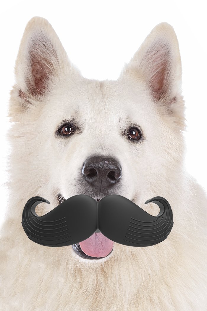 DOG TOYS CLOSEOUT BOW WOW !! 'SAY CHEESE'