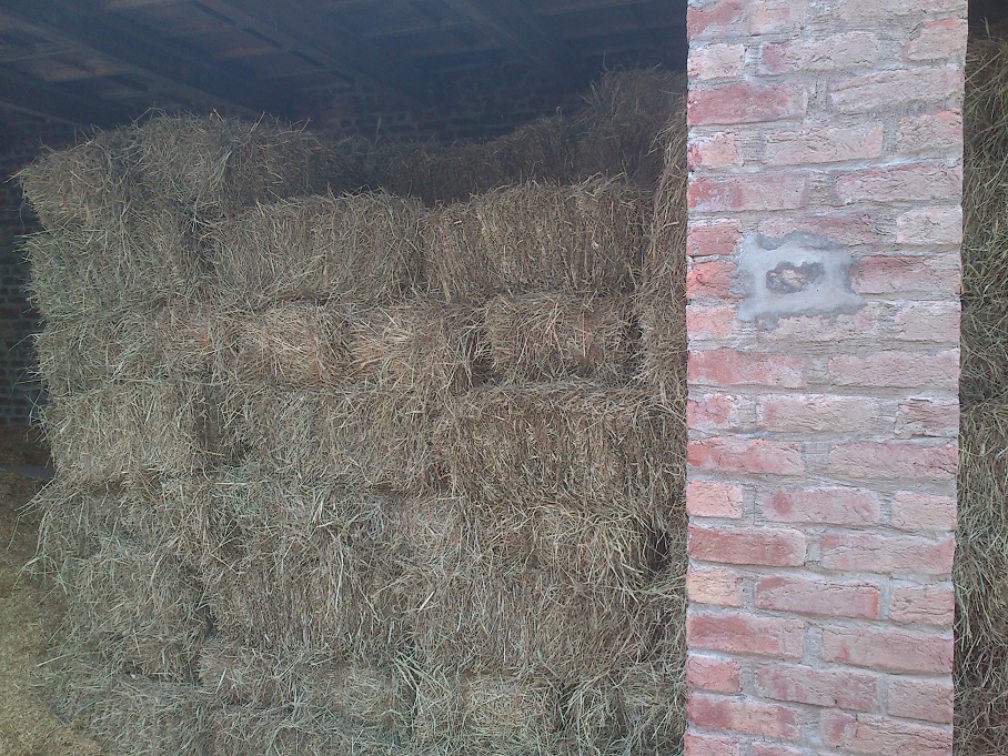 ANIMAL FODDER/HAY