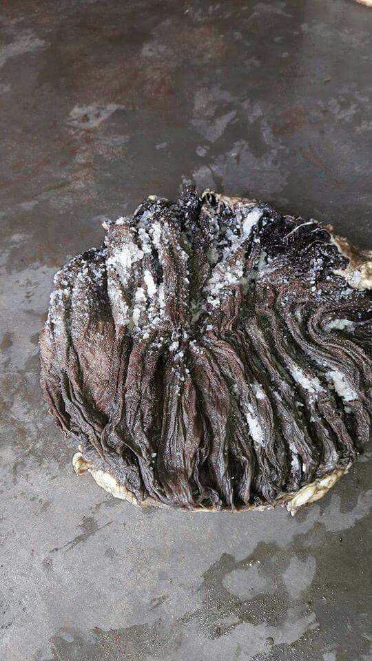 Omasum supplier