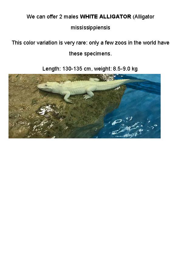 Only a few zoos in the world have these specimens