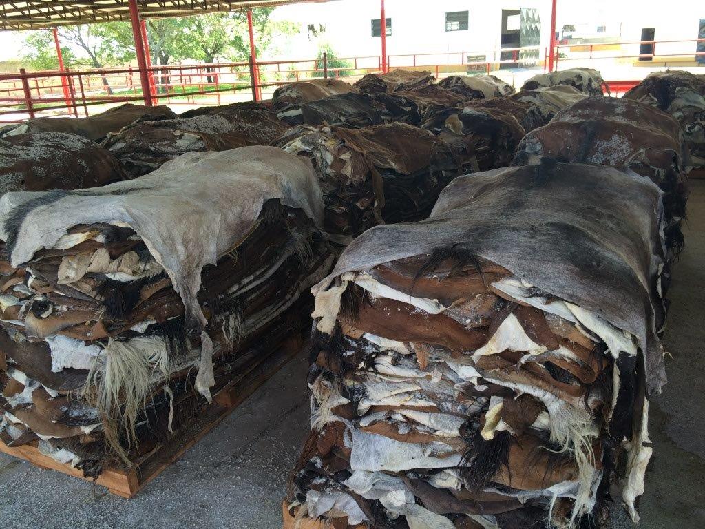 Wet salted horse hides /Argentina 