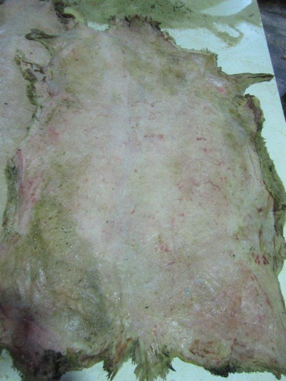 Wet salted doubleface Merino sheep skins