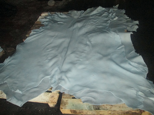 wet blue cattle hides / Colombia
