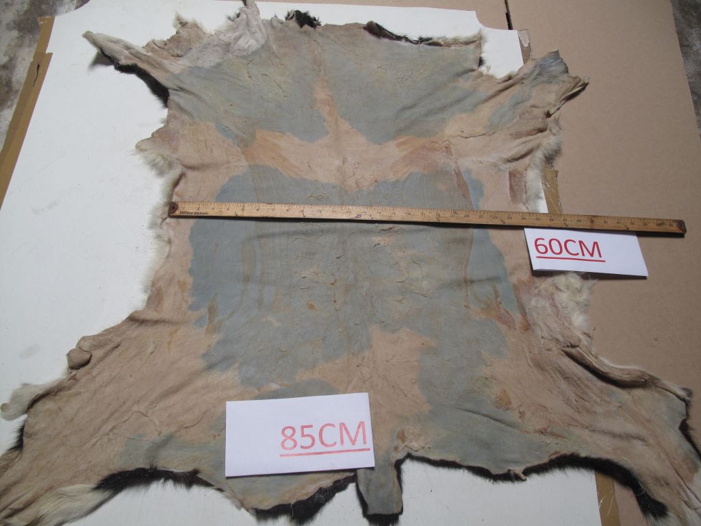 drumsalted BABY calf skins / USA (second source) 