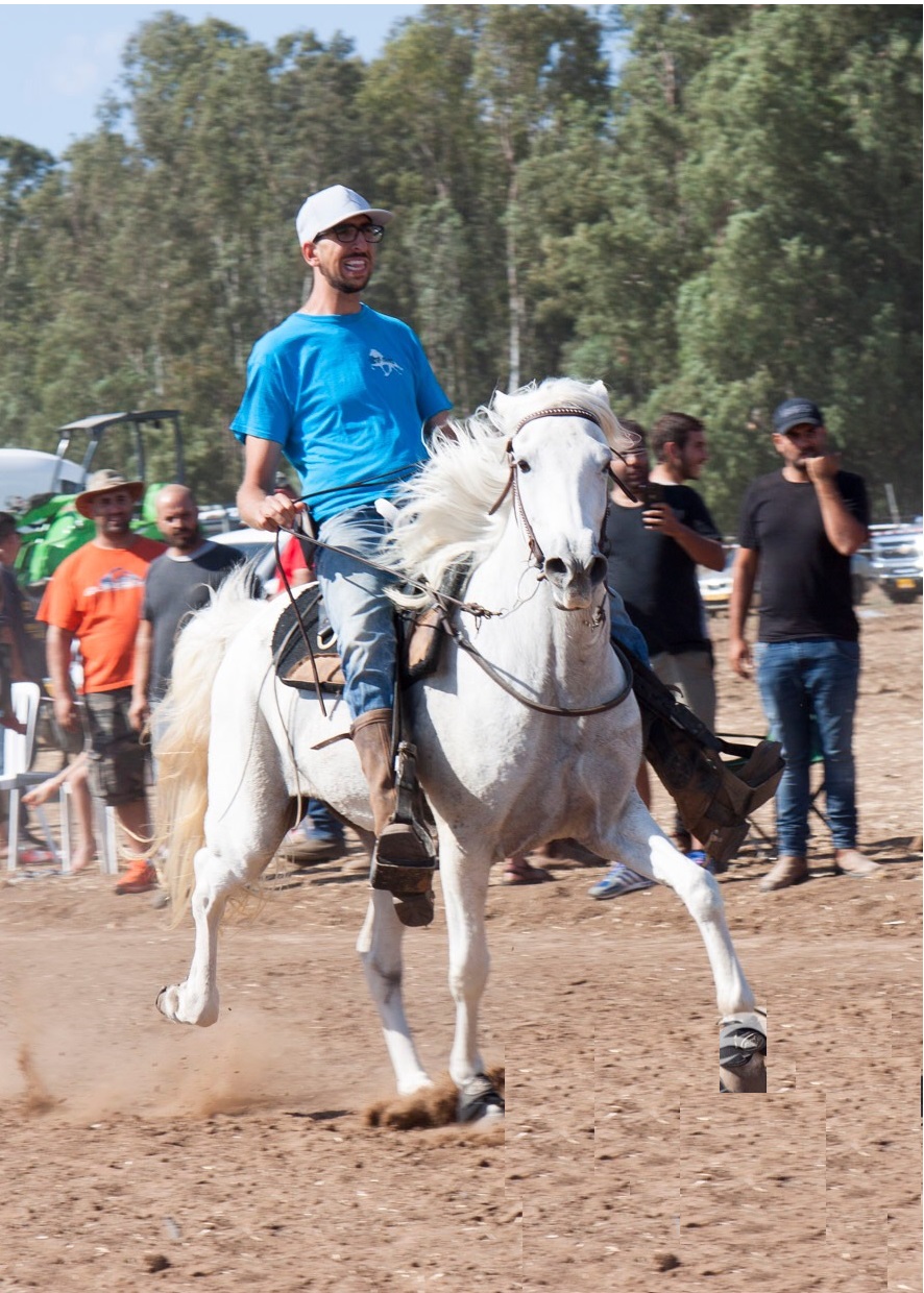 racking horse Weezer-Female