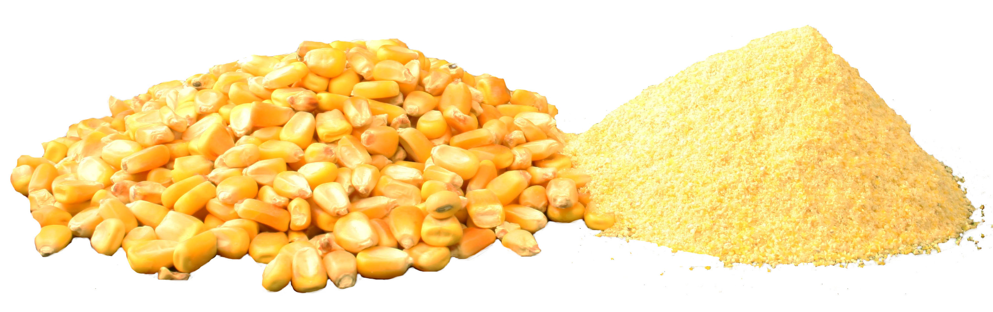 Need 5 containers worth of corn with this specs