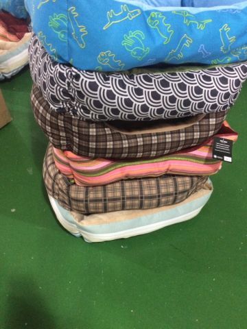 pet pad 60000pcs china jan 24 18