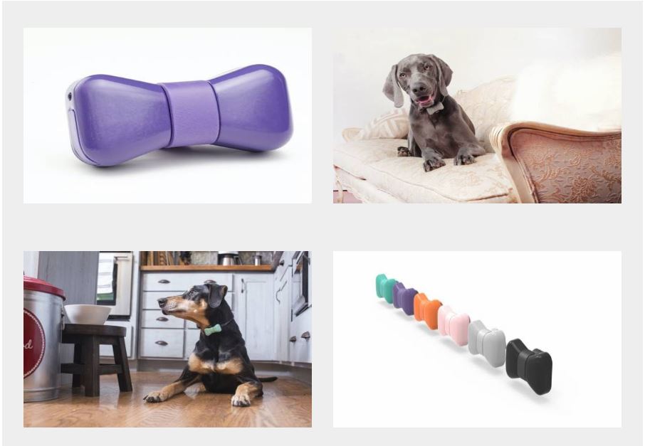 Wonderwoof Dog Activity Monitor (Smart Bowtie) USA MAR 29 18