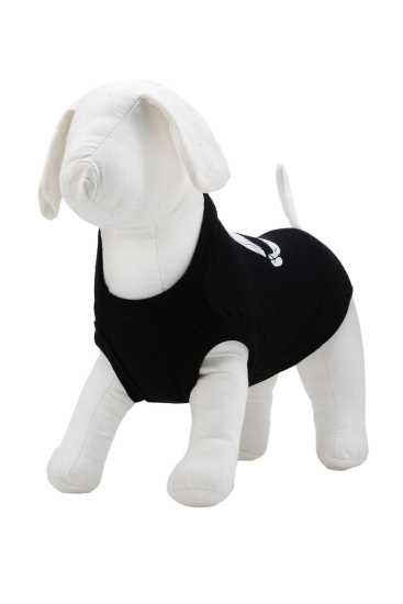 Pet Care Collection - Karl Lagerfeld europe oct 10 18