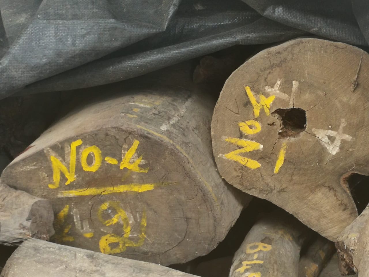 READY sale of Redsanders wood--short commercial offer
