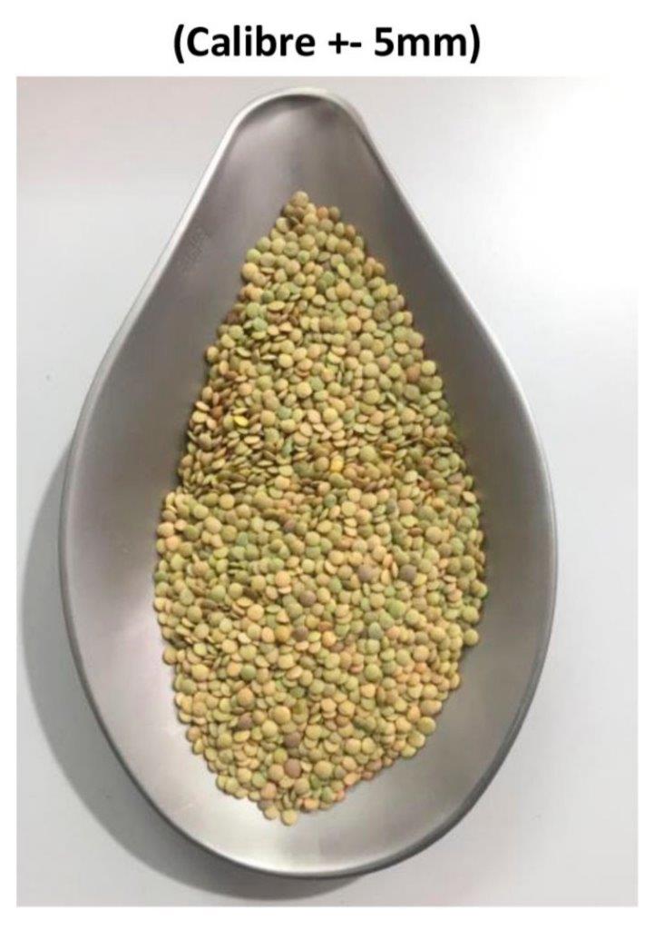 SPANISH LENTIL Europe