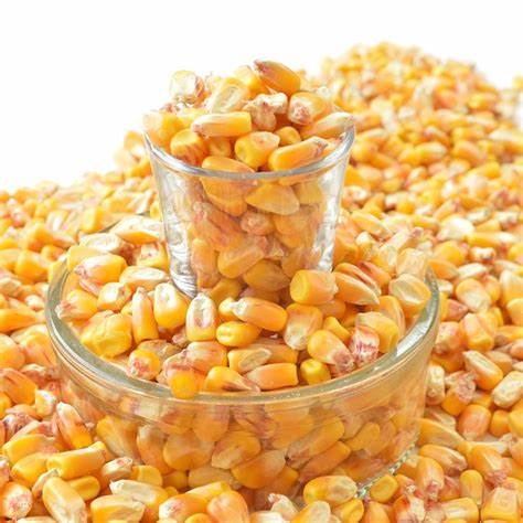 Wanted wheat,corn,oil