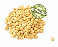 SOYBEAN Non-GMO OFFER//Reply !