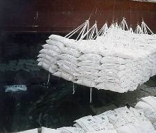 SUGAR 100,000 MT