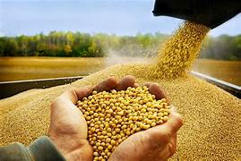 NEW PRICE FOR SOY BEAN-13.03.2021