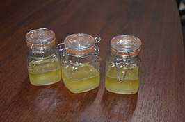 Looking for a buyer for Honey in canes, 290 kilo per cane, total 19.720 kilo.