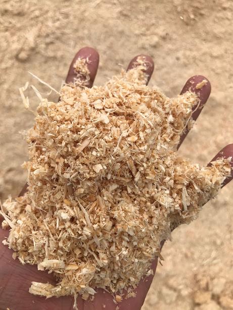 Sawdust offer
