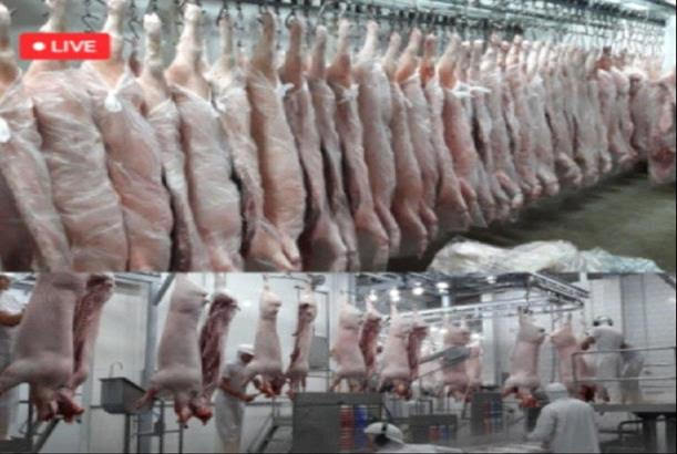  Meats and Cooking Oils for the International and Chinese markets.