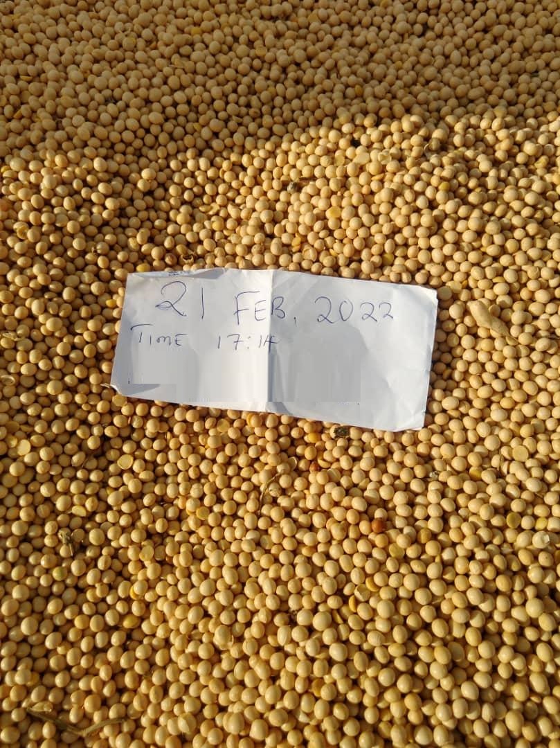 AVAILABLE SOYA BEANS