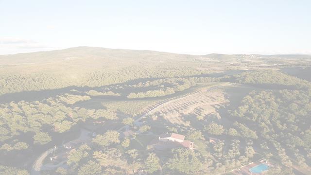 if you have or believe you have SERIOUS RWA investors,  Italy, Greece, Crete, Cyprus and other Mediterranean locations ... we can prepare many other proposals