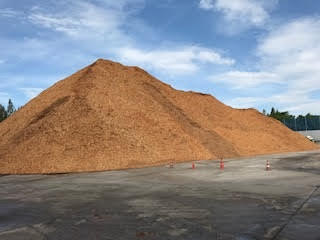 WANT TO BUY WOODCHIPS FROM EUCALYPTUS OR PINE FOR PAPER PULS