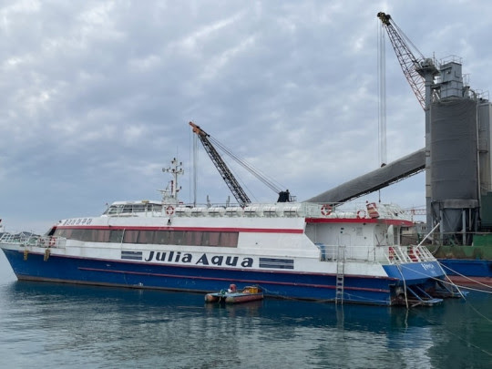 Ref. No. : BNC-FF-311-95 (M/V JULIA AQUA),   FAST FERRY (CATAMARAN TYPE)