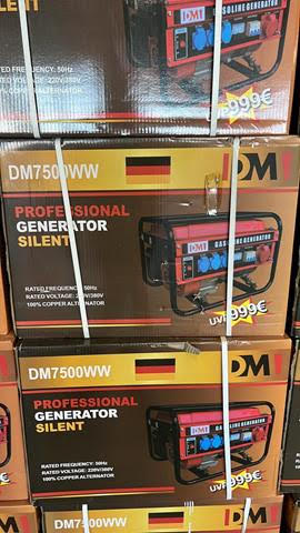 Generators (WG 3500 and BS 3500H) Europe