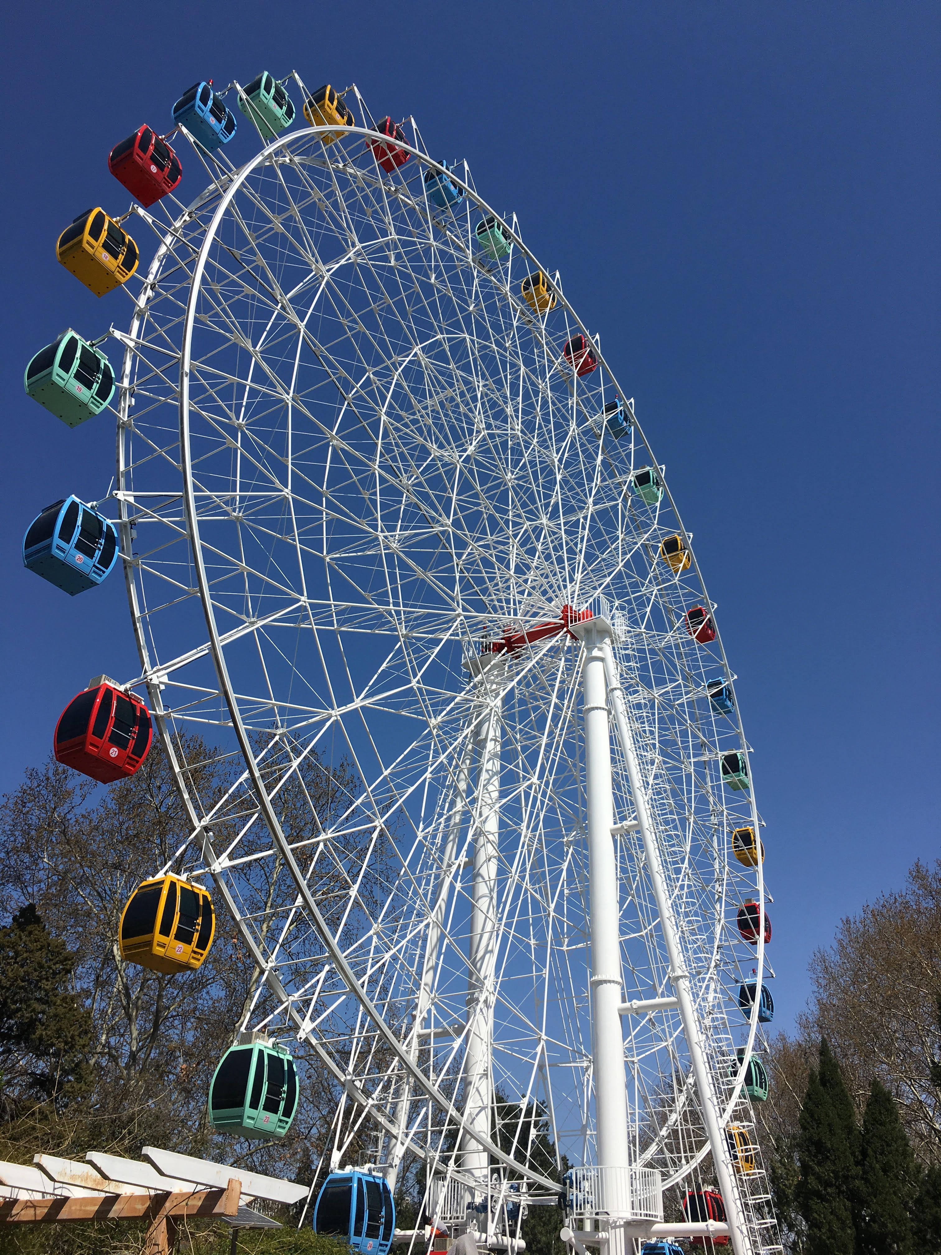 Giant Ferris Wheel