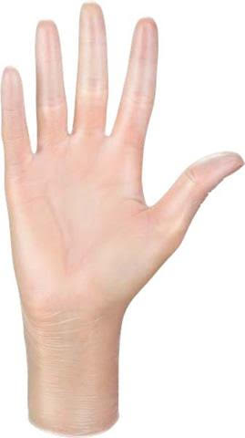 Mercator Vinyl Gloves Europe