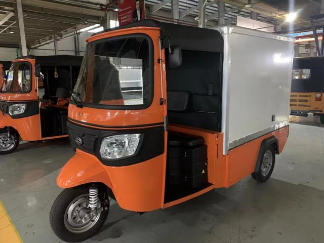 2025 Cargo tuk tuks with 3000 W and high speed.