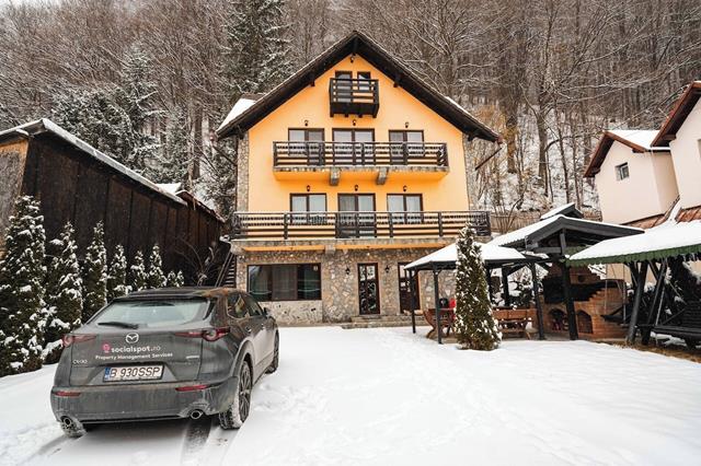 Commercial Proposal for Sale: Elegant Villa in Predalut, Romania