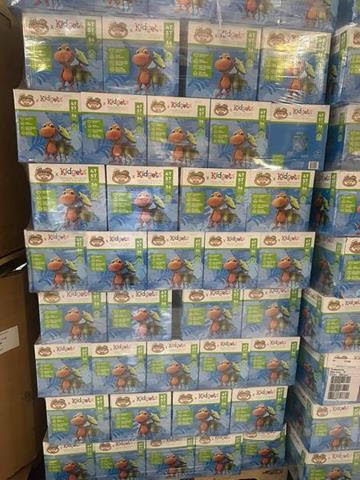 Dinosaur Kidget Diapers USA