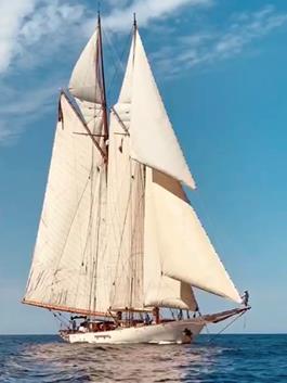 A very exclusive yacht is for sale