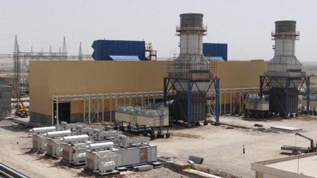 Last year we were offered the following plant however the vendor has disappeared 