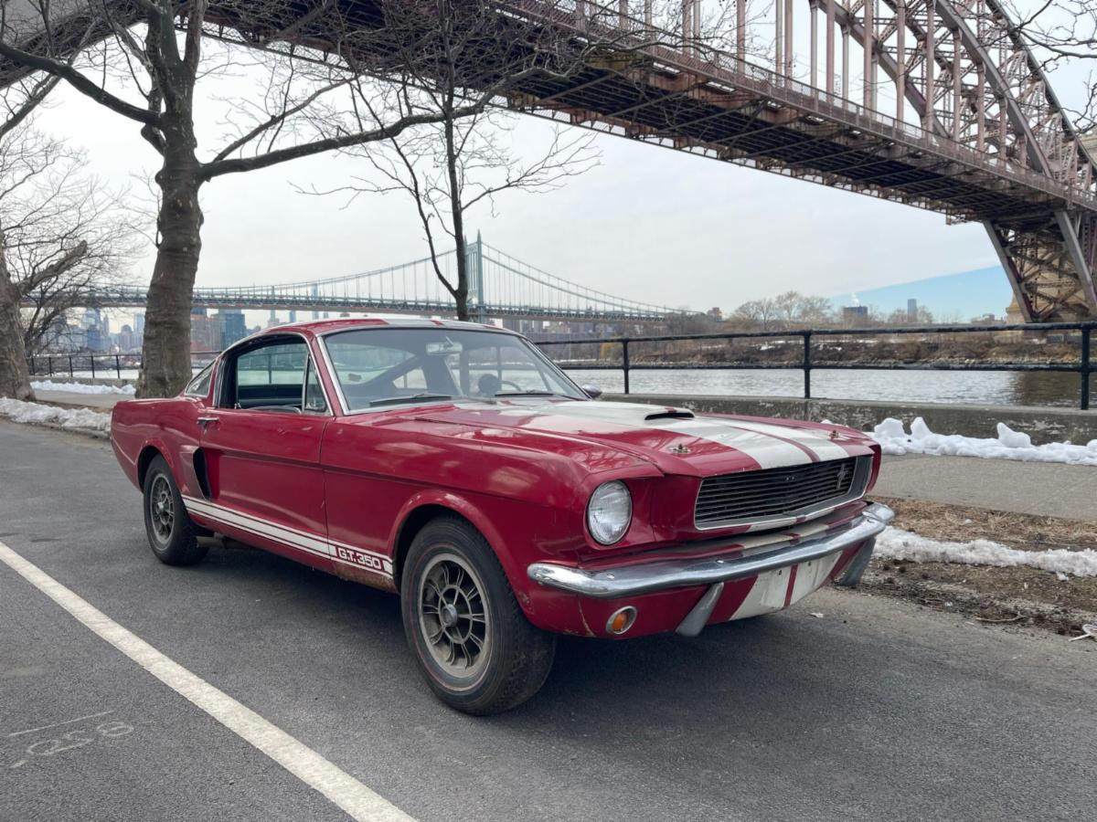 1966 Ford Mustang Shelby GT350